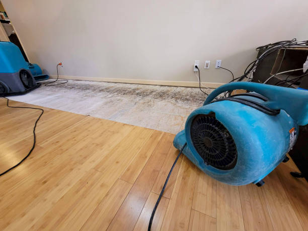 Professional Ceiling Water Damage Repair technician working in Hayden, AZ